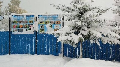 Марқакөл қорығында қалыңдығы 30 сантиметрден астам қар жауды