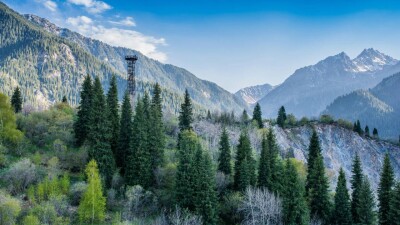 Депутат орман саласы мамандарын Түркия, Оңтүстік Корея, Канада елдерінде оқытуды ұсынды