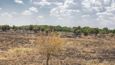 Жетісу облысында халық егістік жерге қол жеткізе алмай жүр