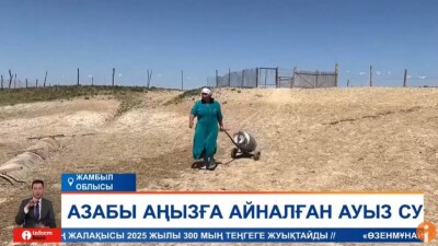 "Бір бұлақтан аң да, мал да, адам да су ішеді". Жамбыл облысында тұрғындар 30 жылдан бері ауыз суға зәру екенін айтты