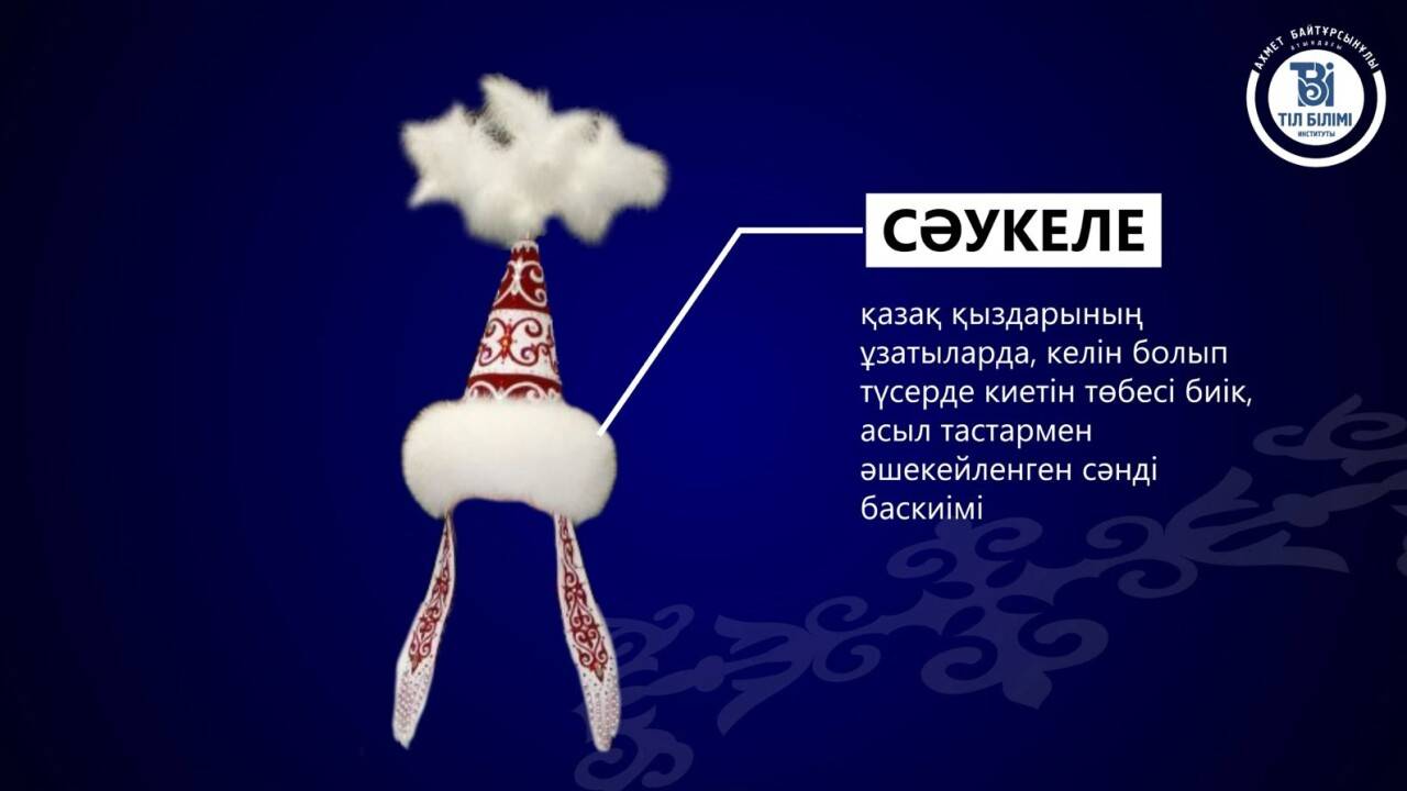 Фото: Тіл білімі институты