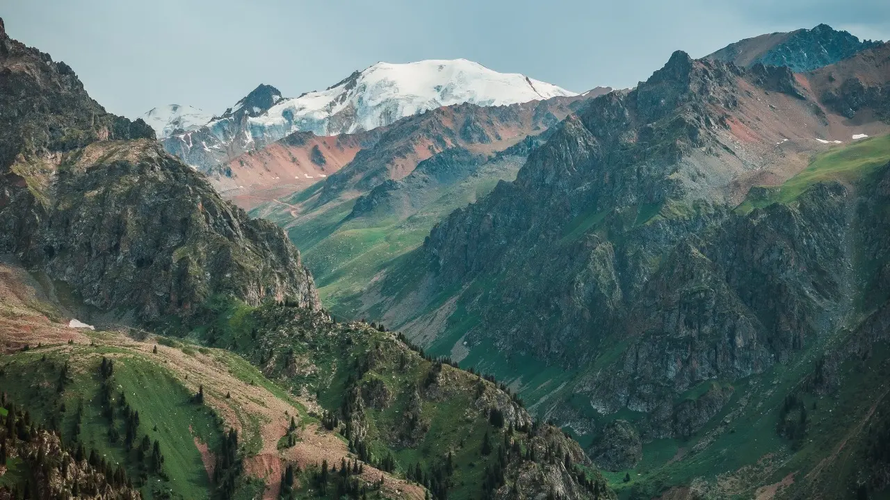 Фото интернеттегі ашық дереккөздерден алынды