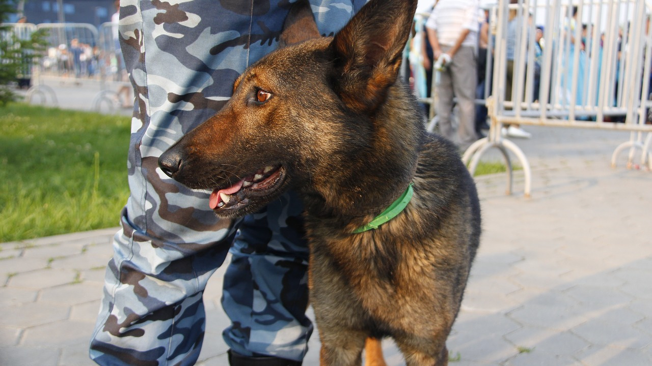 Фото: Informburo