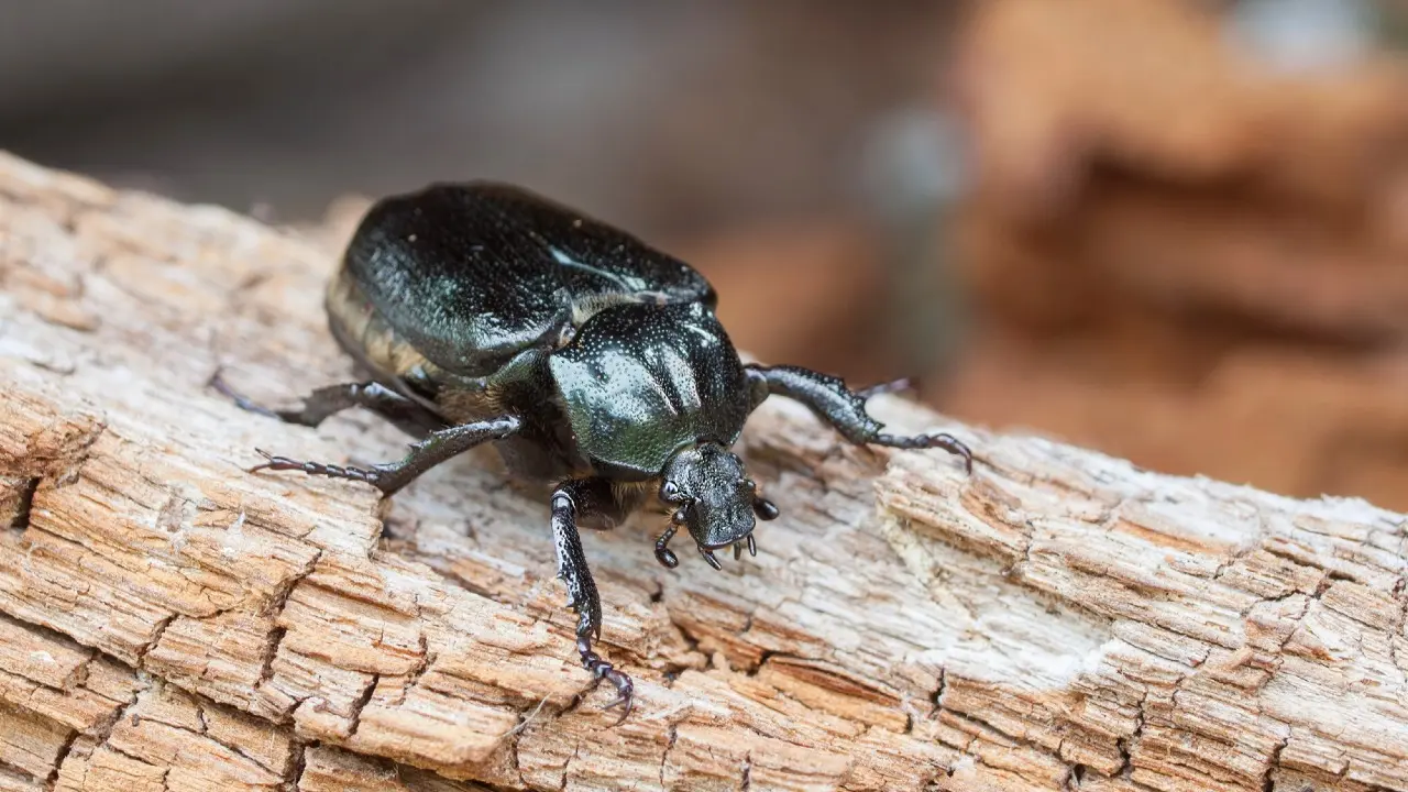 Фото: depositphotos.com
