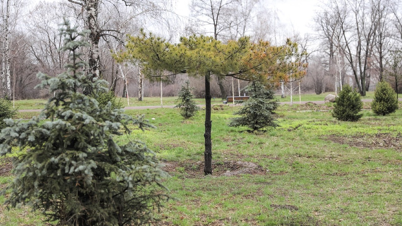 Фото: Informburo