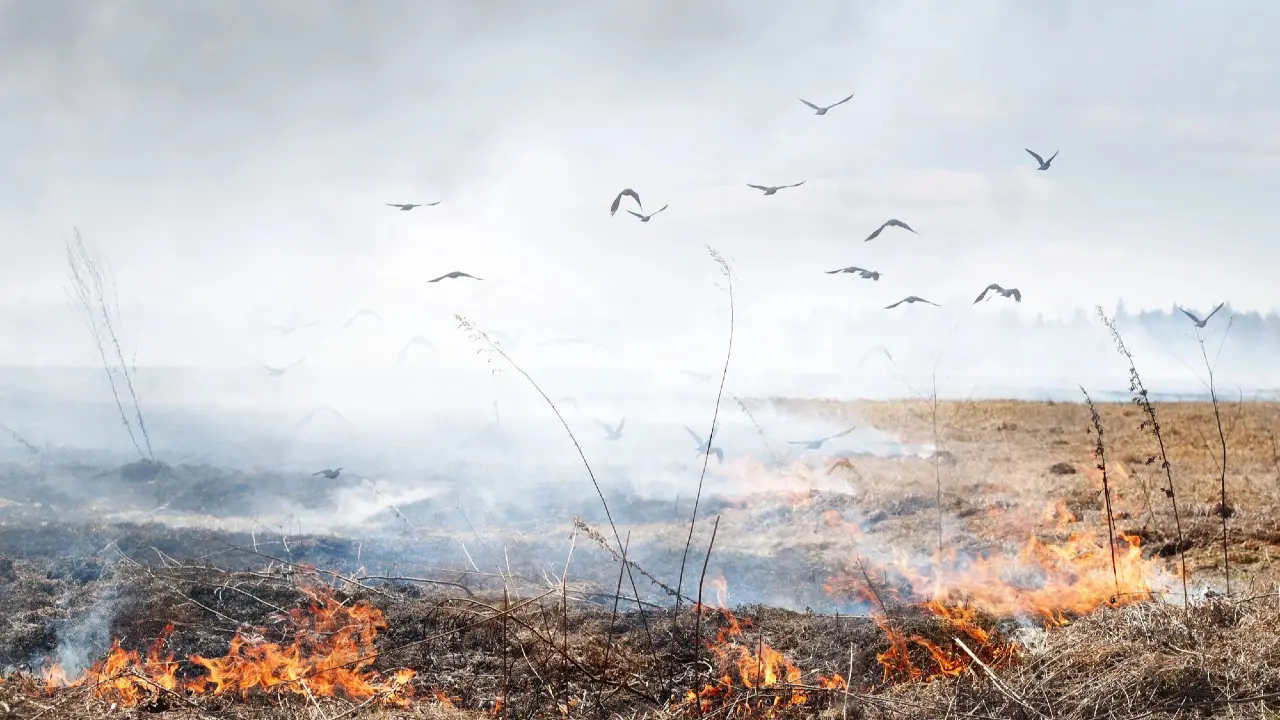 Фото: depositphotos.com