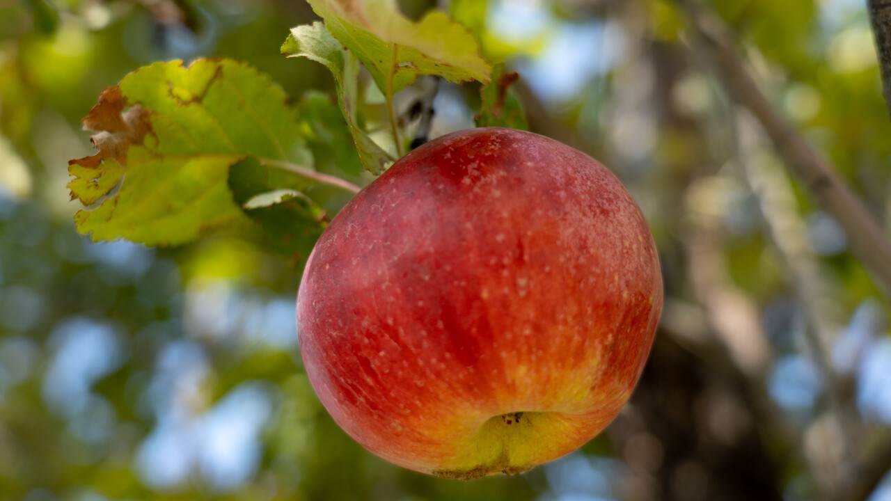 Фото: Informburo.kz/Тимур Батыршин