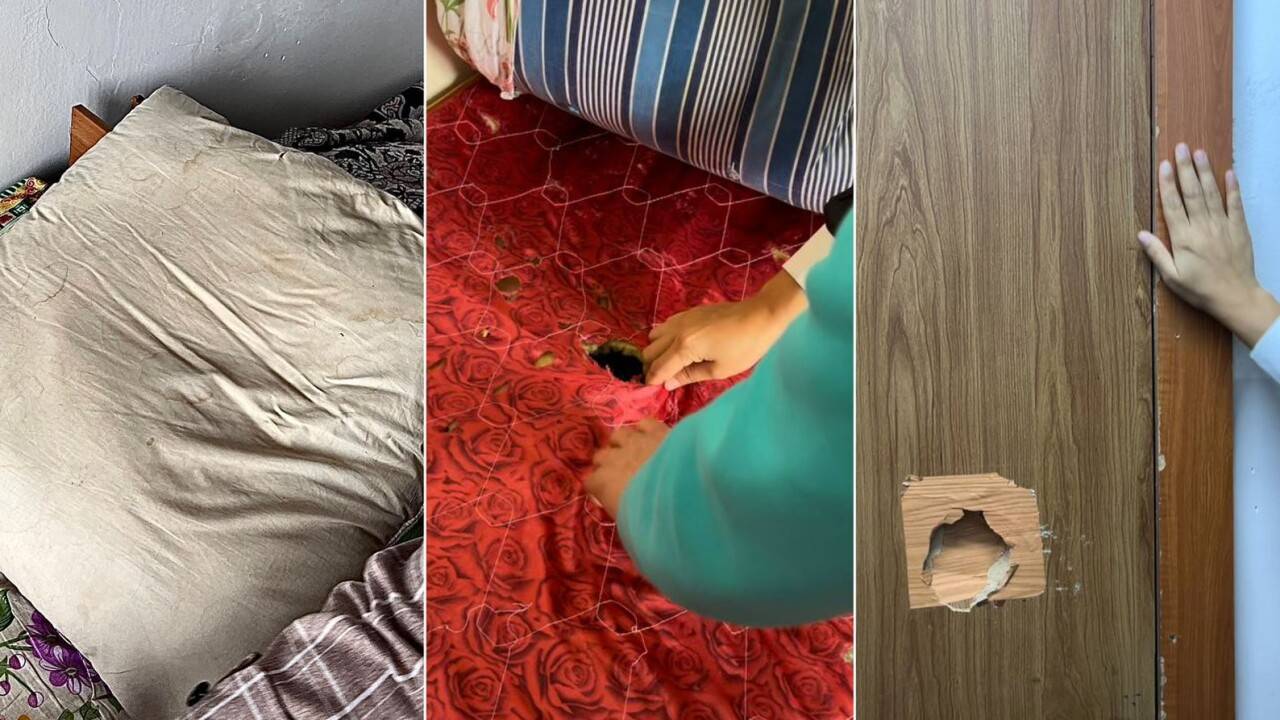 Сорғыштағы пусси және басқа көлік логотиптері