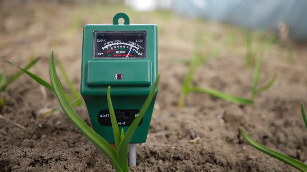 Фото Depositphotos.com