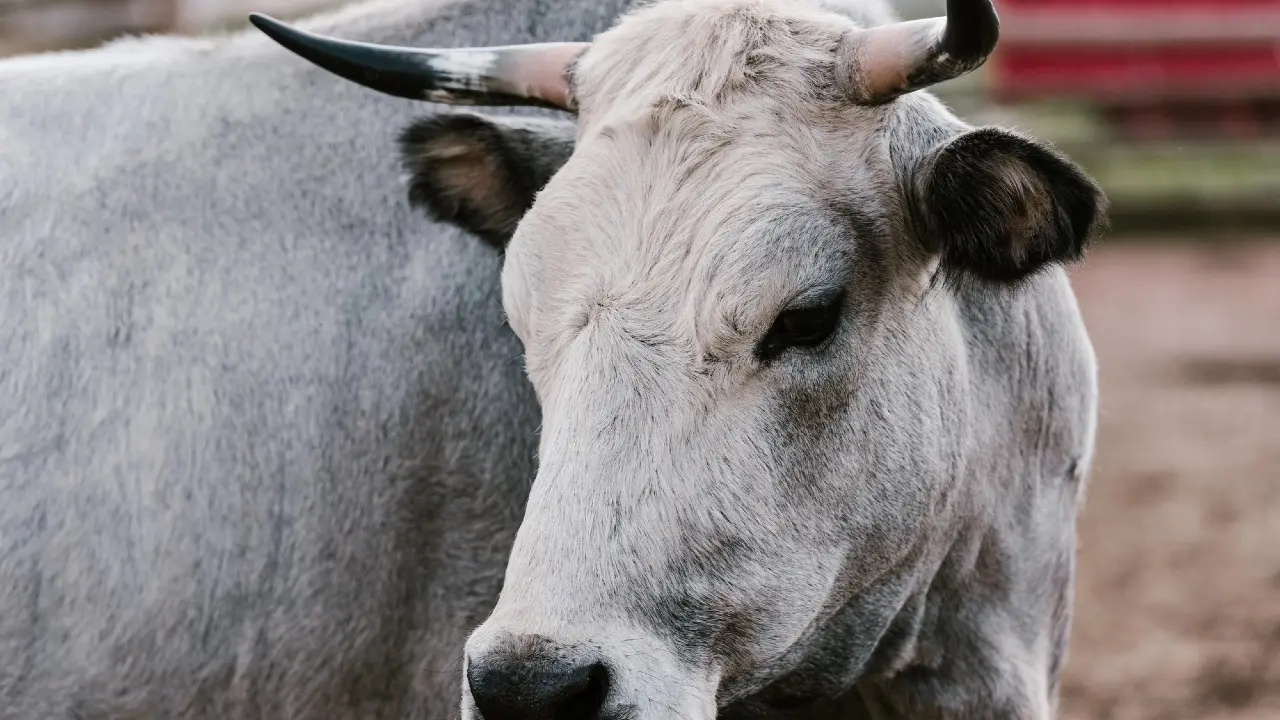 Фото: depositphotos.com