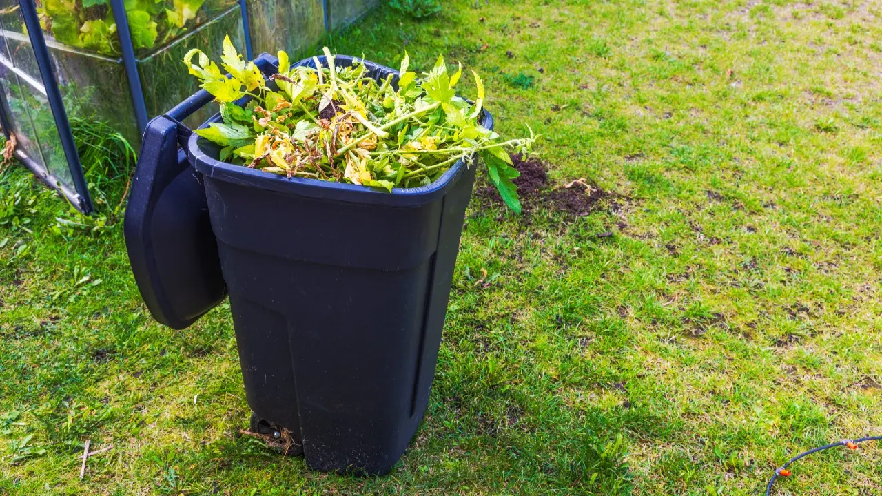 Фото: depositphotos.com