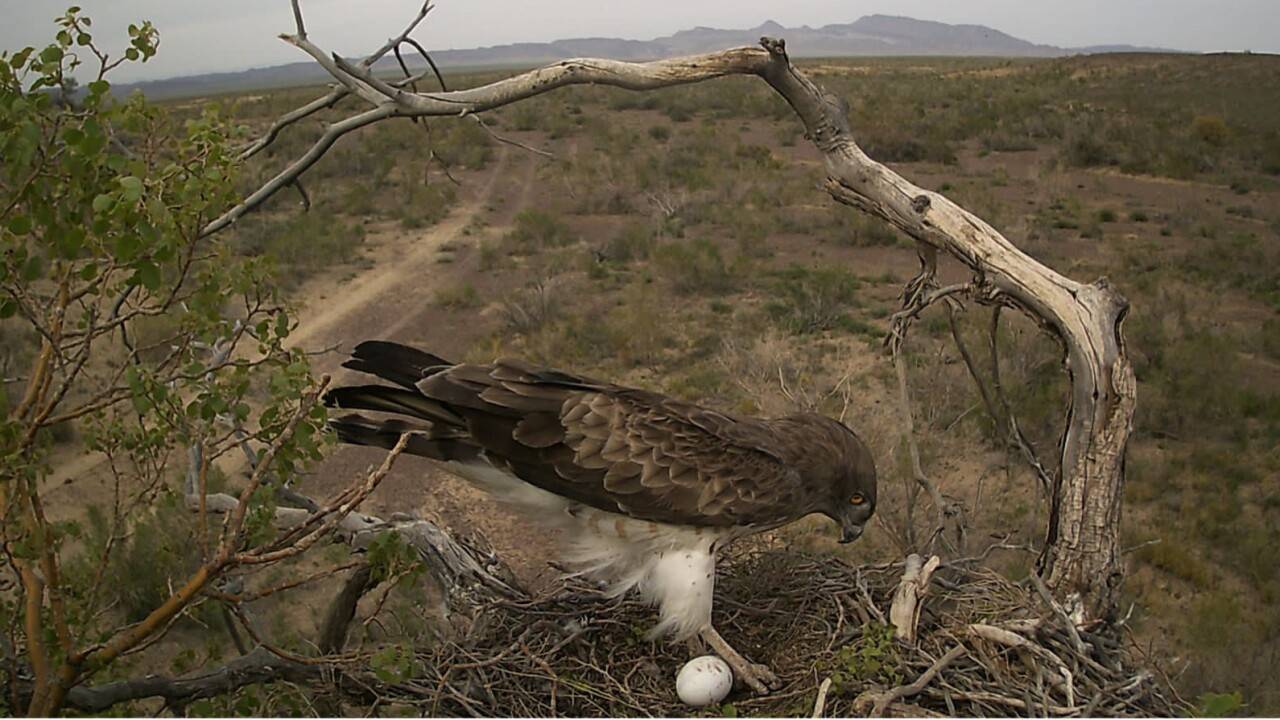 Мьянма Бирма секс