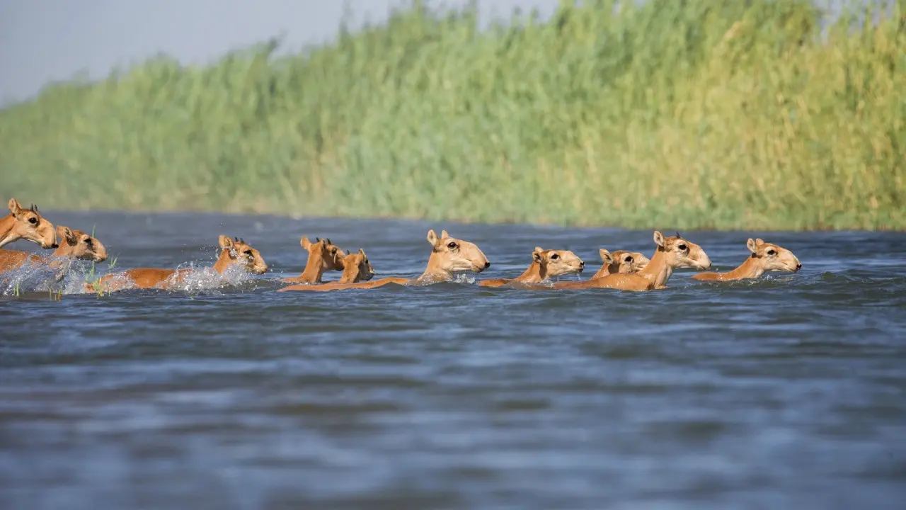 Фото: depositphotos.com