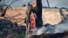 Прогноз погоды на 2 июля: в Казахстане сохраняется чрезвычайная пожарная опасность