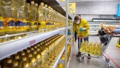 В Казахстане сократилось производство рафинированного подсолнечного масла
