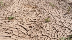 Изменение климата в Казахстане: Какие регионы превратятся в сухую степь
