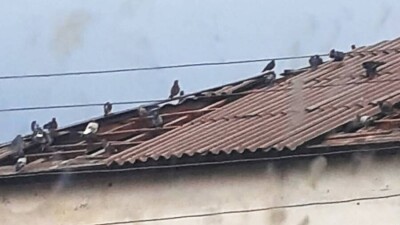 Ветер сорвал кровли 8 домов в Акмолинской области