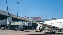 Кот пострадал во время транспортировки из Алматы в Жезказган. Хозяйка обвинила в этом сотрудников аэропорта