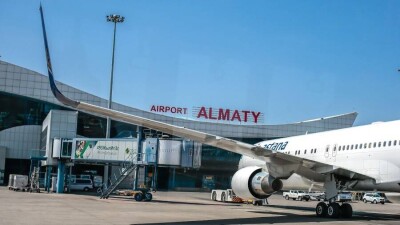 Кот пострадал во время транспортировки из Алматы в Жезказган. Хозяйка обвинила в этом сотрудников аэропорта