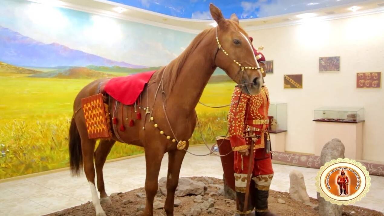 Этнограф Алматы не Астанада жылқы мұражайын ашуды ұсынды