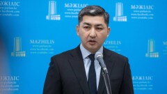 "Орманды ағашын сату үшін өртейтіндер бар". Прокурор Абай облысындағы өрттің бірнеше себебін атады