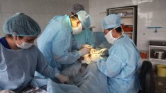 Жыл сайын медицина қызметкерлеріне қатысты 300-ге жуық шағым түседі