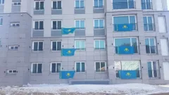 Мемлекеттік туды үйде, көшеде іліп қоюға бола ма? Президент бұған қатысты ойын айтты