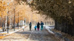 Миграция, дағдарыс және беби-бум: Тәуелсіздік жылдары Қазақстан халқының саны қалай өзгерді?