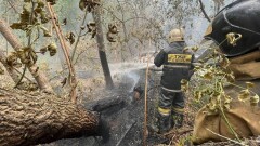 Әлихан Смайылов Абай облысындағы өртті ауыздықтау үшін бірнеше министрлікке тапсырма берді