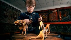 "Ортеке" мен Қожанасырдың әңгімелері ЮНЕСКО-ның мәдени мұралар тізіміне енді