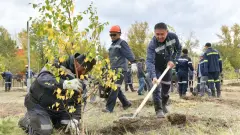 Қазақмыс жұмыскерлердің бастамасына қолдау көрсетті: Қарағайлыда 400 түп ағаш отырғызылды
