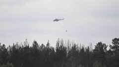 Абай облысындағы өрт:  Елді мекендерге қауіп сейілді