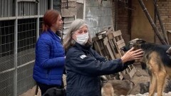Брижит Олуа, Бардо қорының жетекшісі: Иесіз жануарларды панажайда ұстау нәтиже бермейді