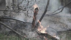 Қазақстан Абай облысындағы өртті сөндіруге көрші мемлекеттерден көмек сұрай ма? Қаржы министрі жауап берді