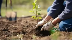 19–20 сәуірде Алматы тұрғындарына 2 мыңнан астам көшет тегін беріледі