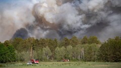 Абай облысындағы өрттен 14 орманшы қаза тапты