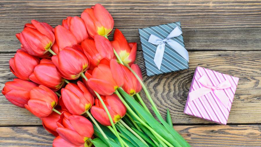 8 наурызда Алматы және Нұр-Сұлтанда қайда демалуға болады?