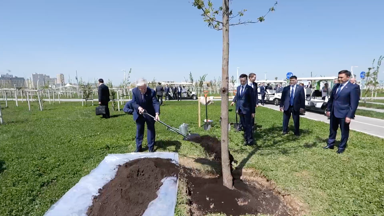 Фото: видеодан скрин