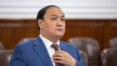 Тұңғыш президент әулетіне тиесілі жерлер мемлекетке қайтарыла ма? Министр жауабы