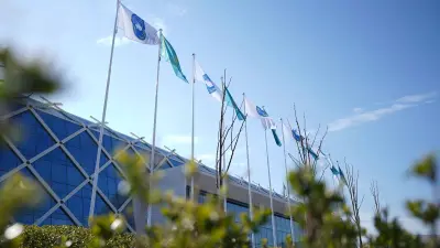 Қордай, Ұйғыр, Сайрам, Панфилов және басқа да аудандарда ассамблея ашылады