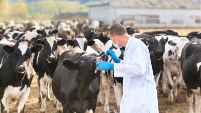 Мал дәрігерлерінің жалақысы 2023 жылдан бастап өседі