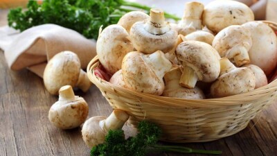 Саңырауқұлақты кімдерге жеуге болмайды?