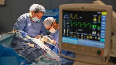 Ояу жатқан адамға ота жасауға бола ма? Нейрохирургпен ашық әңгіме