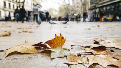 "Соңы депрессияға ұласуы мүмкін". Күз мезгілі адам психикасына қалай әсер етеді?