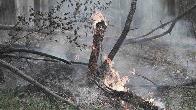 Қазақстан Абай облысындағы өртті сөндіруге көрші мемлекеттерден көмек сұрай ма? Қаржы министрі жауап берді