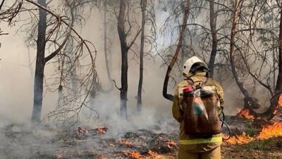 Қостанай облысындағы өрт: 5 ауылда өрт сөндіру жұмыстары жүріп жатыр