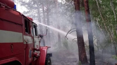 Абай облысындағы өрттен қаза тапқан 14 орманшы "Құрмет" орденімен марапатталды