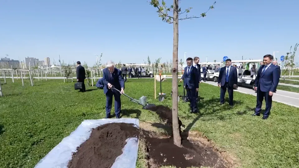 Фото: видеодан скрин