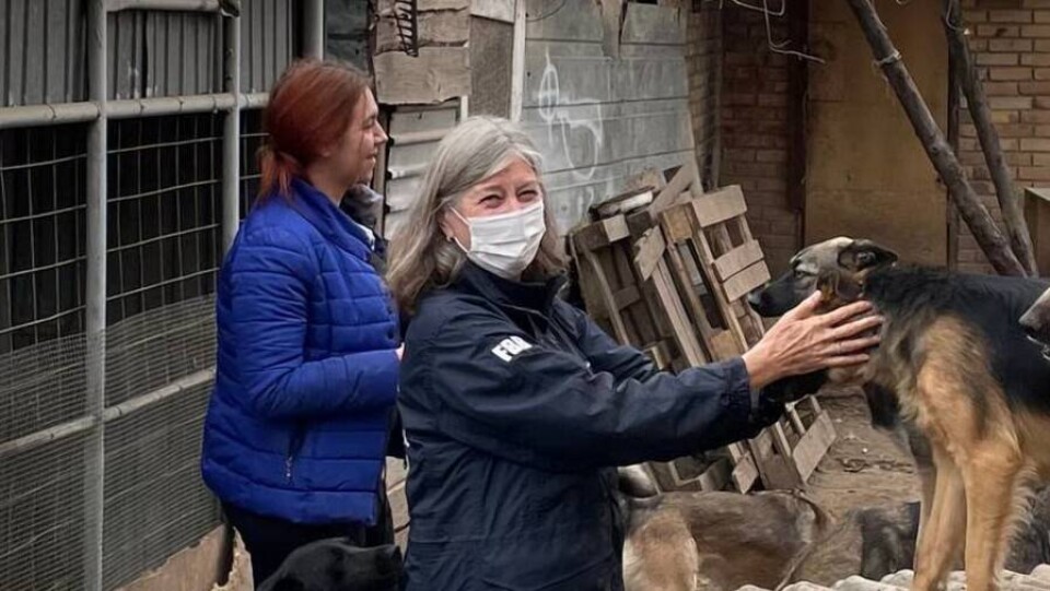 Брижит Олуа елордадағы иесіз жануарларға арналған панажайлардың бірінде