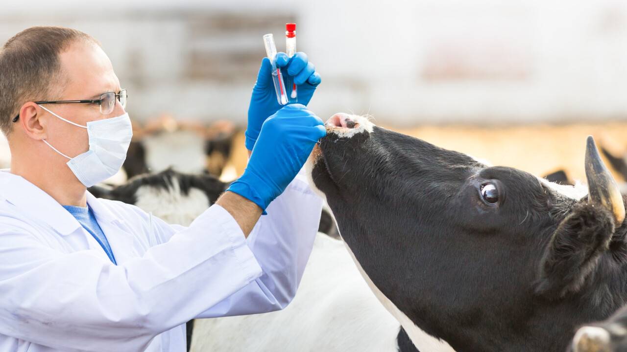 Биоагенттермен жұмыс істейтін ветеринарлардың еңбекақысына 35-50% қосымша ақы төленеді